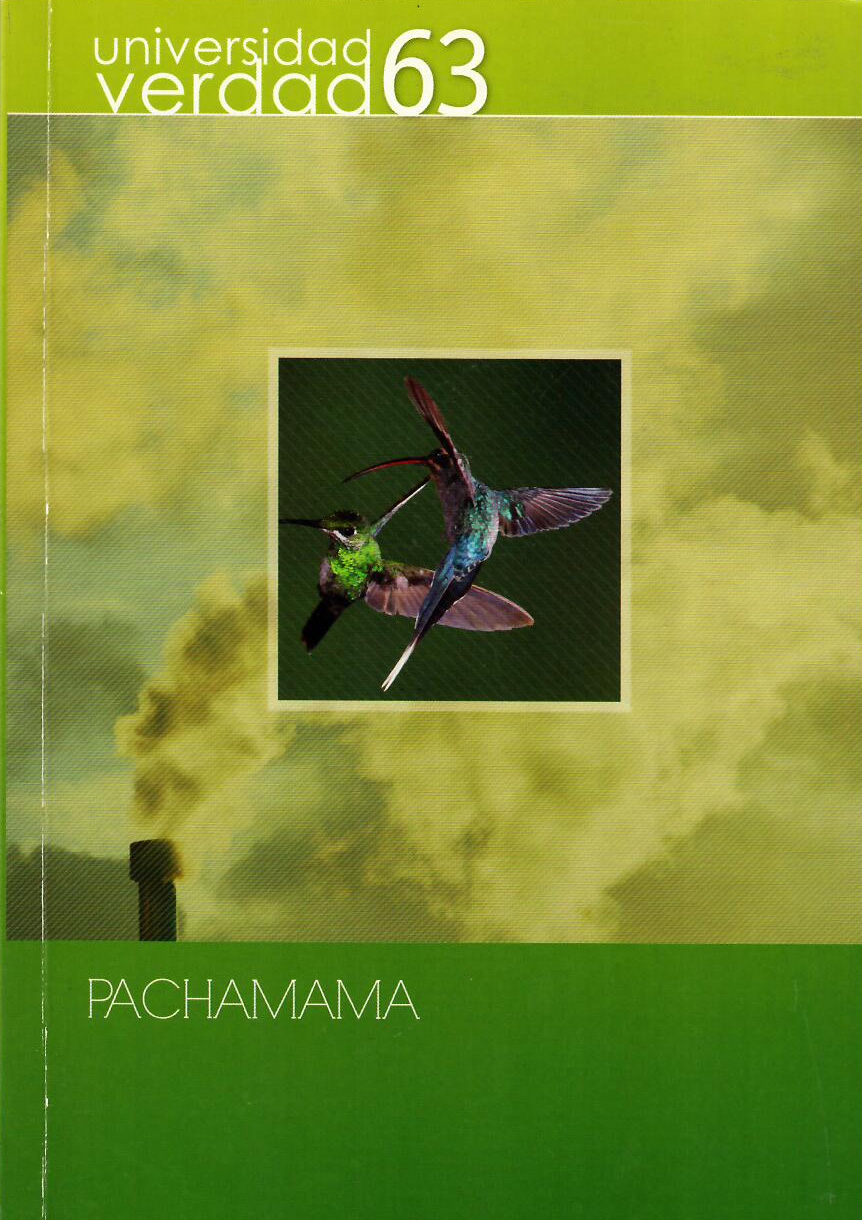 					View No. 63 (2014): PACHAMAMA
				